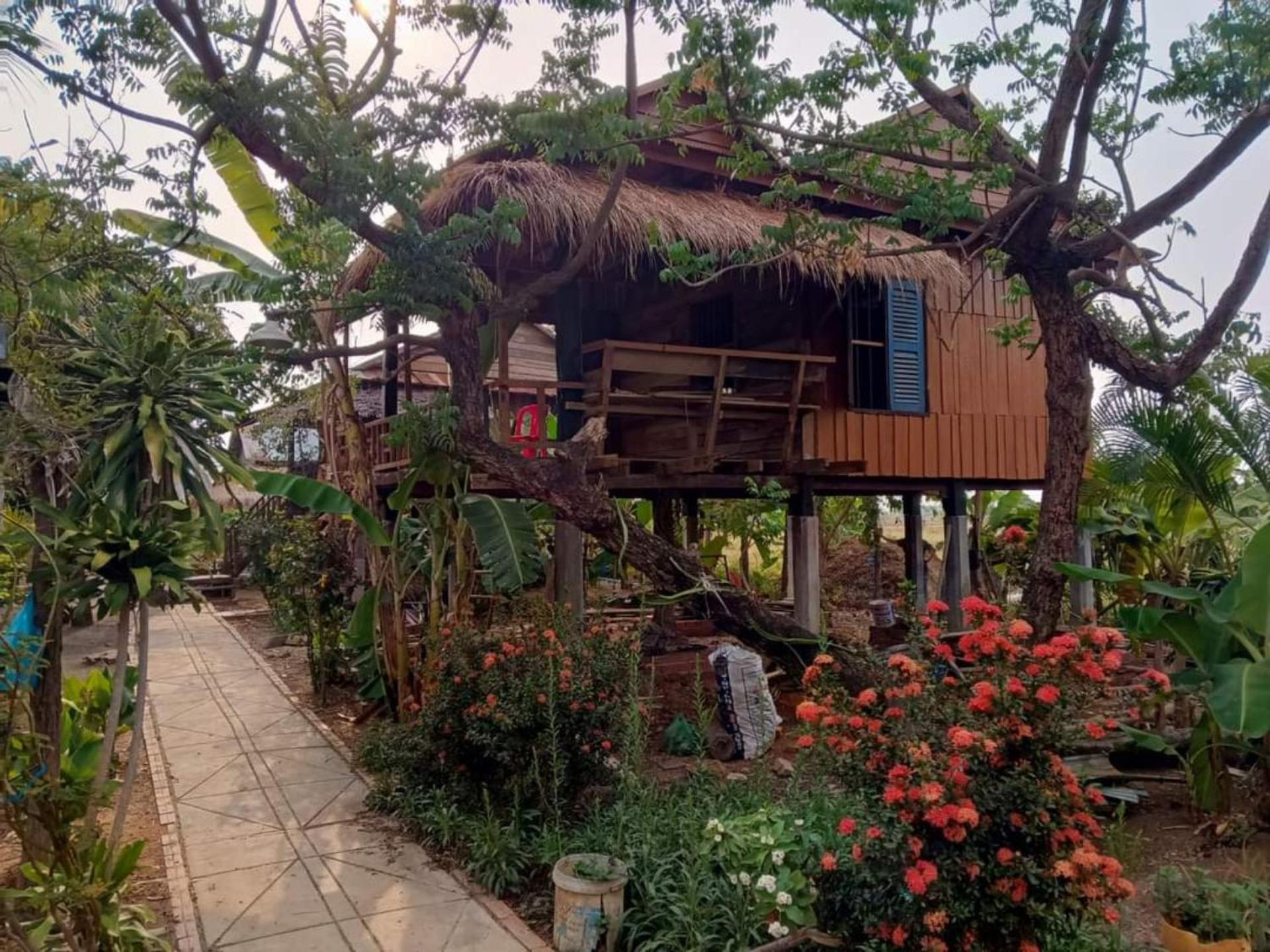 Family Batcave Homestay Battambang Zewnętrze zdjęcie