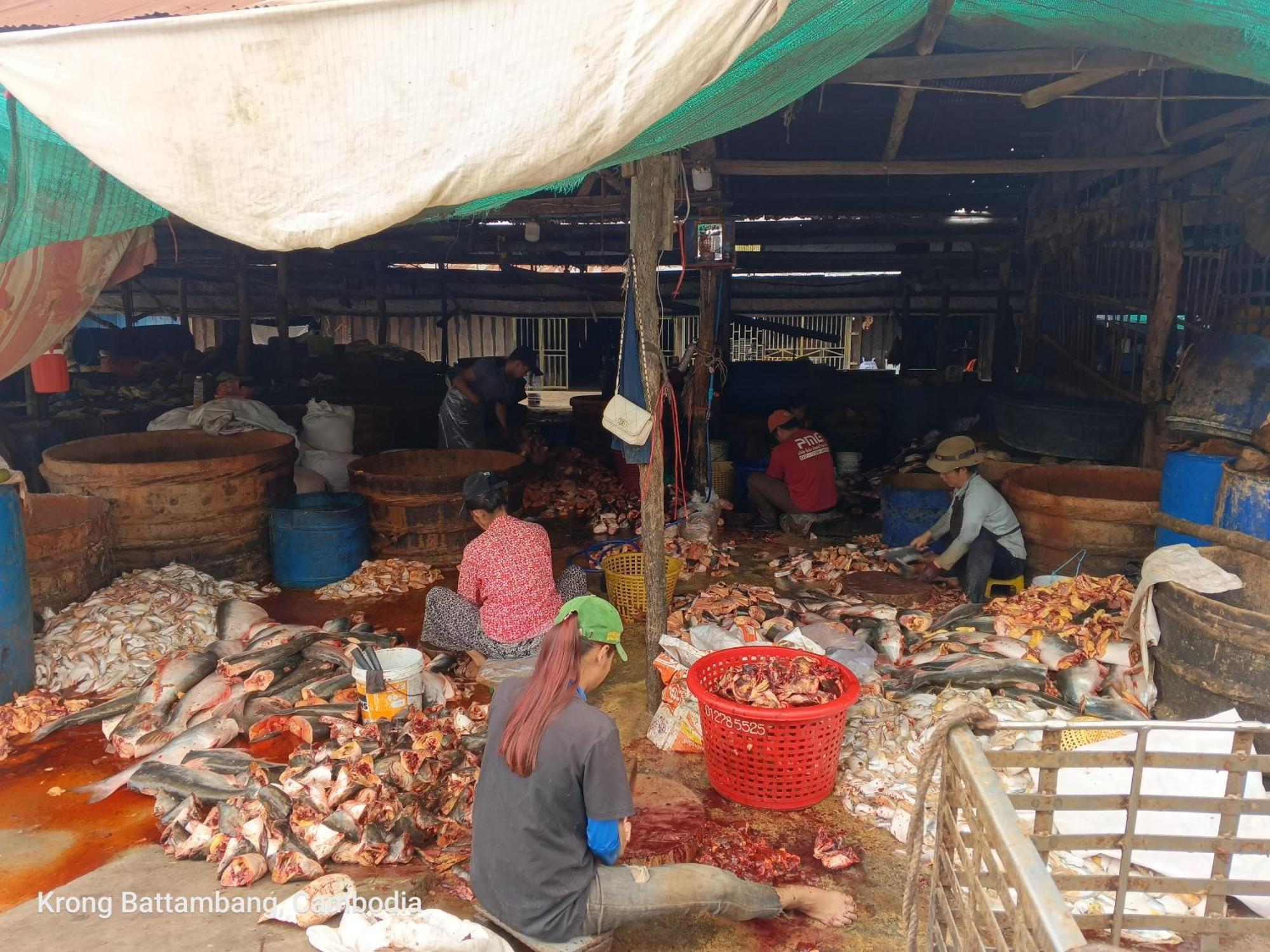 Family Batcave Homestay Battambang Zewnętrze zdjęcie