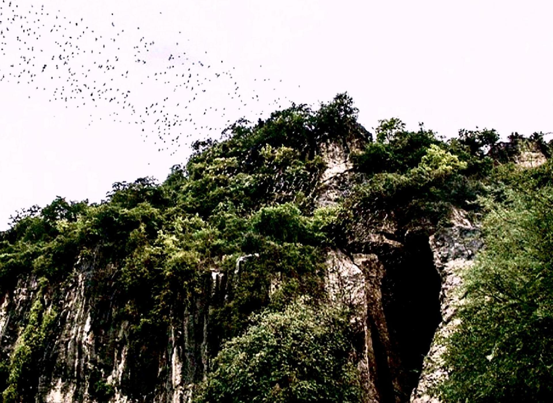 Family Batcave Homestay Battambang Zewnętrze zdjęcie