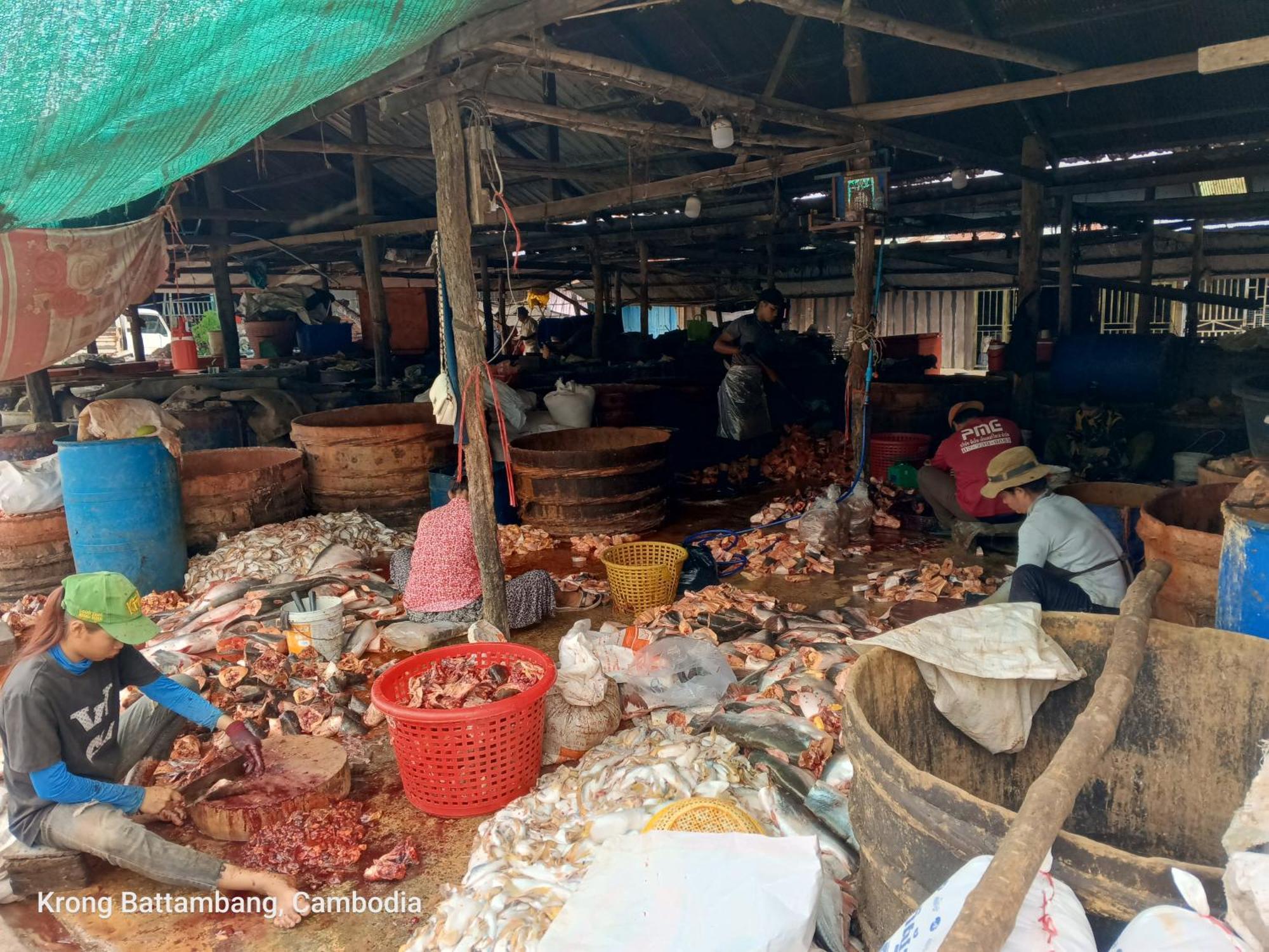 Family Batcave Homestay Battambang Zewnętrze zdjęcie